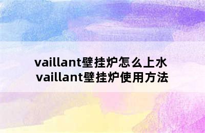 vaillant壁挂炉怎么上水 vaillant壁挂炉使用方法